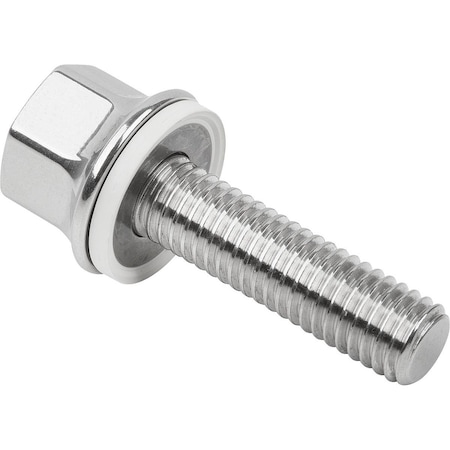 M6 Hex Head Cap Screw, Polished 316 Stainless Steel, 16 Mm L